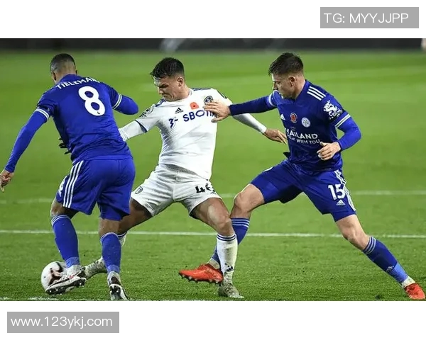 布城与赫尔城的精彩对决分析及赛季前景展望